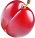 Red plum